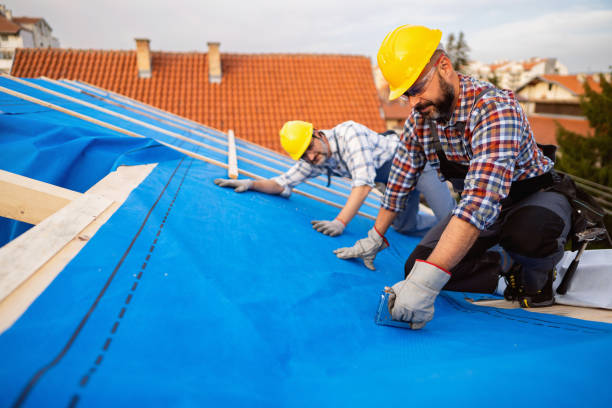 Best Roof Repair Services  in Upland, PA