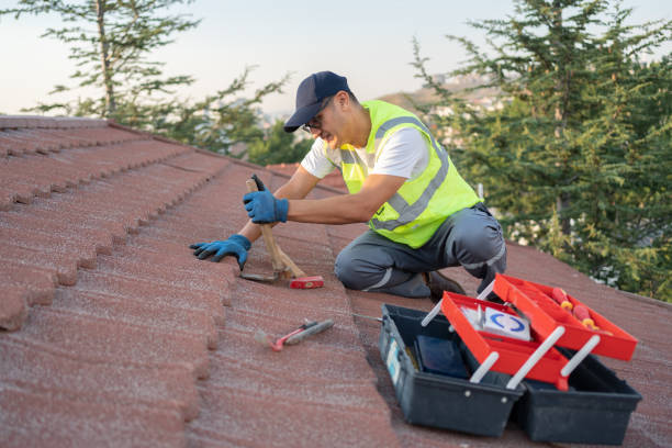 Best Flat Roof Repair Services  in Upland, PA