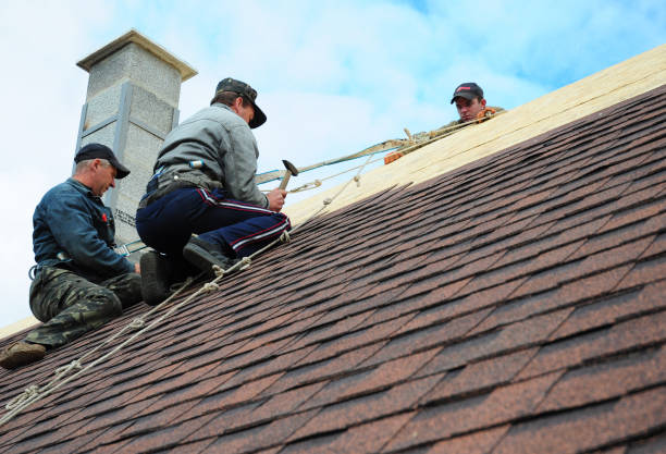 Best Flat Roof Repair Services  in Upland, PA